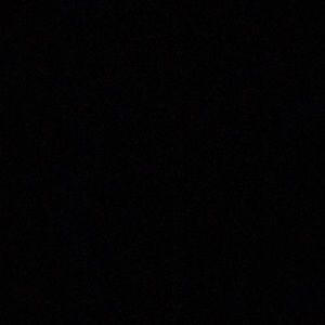 Meet your Posher, Tippi